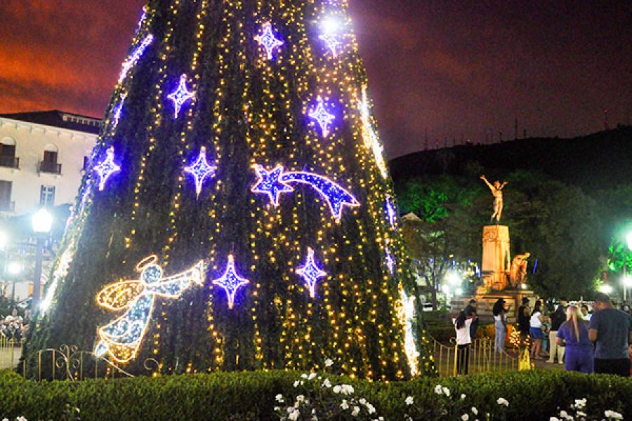 natal1