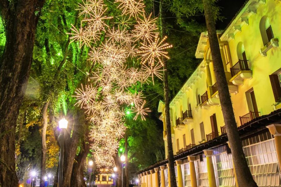 natal_23