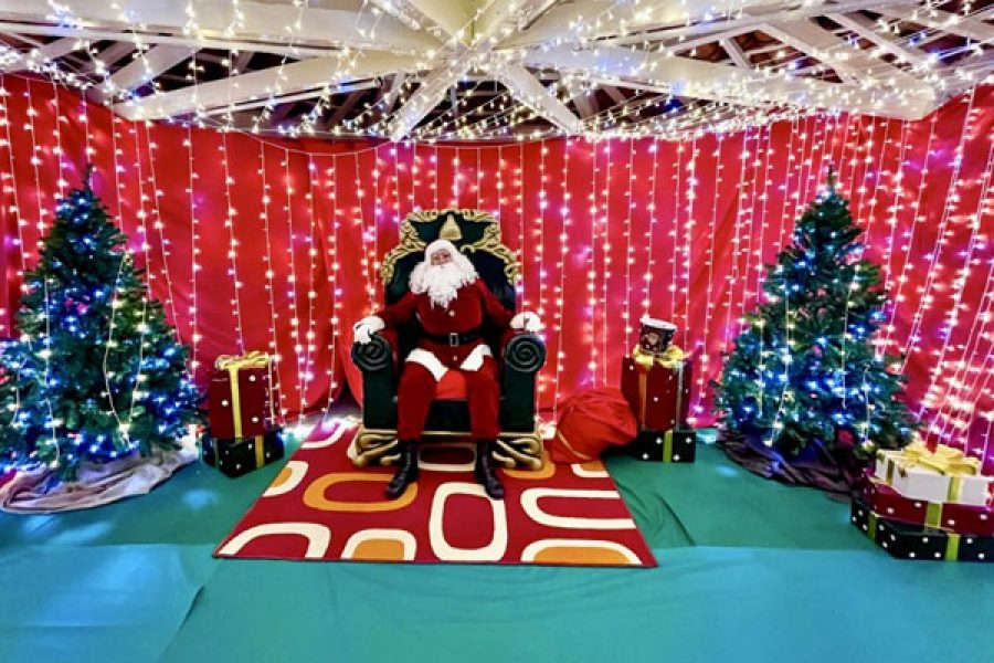 noel_21