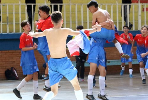 pelicano4_4
