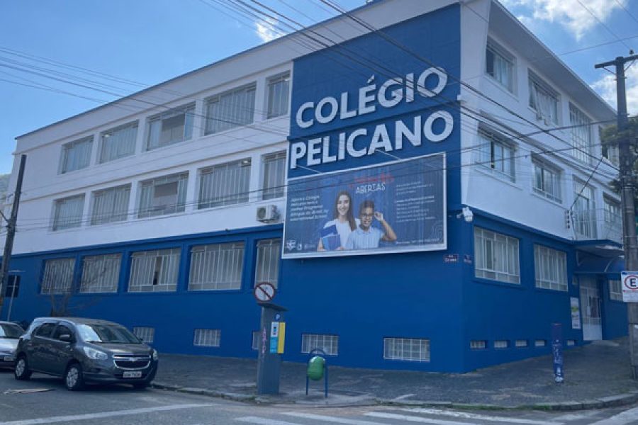 pelicano_29