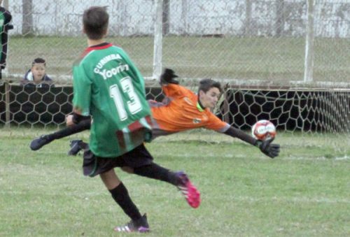 penal_15