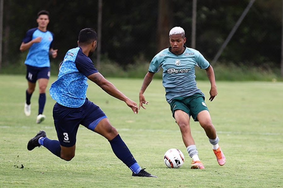 renan-2