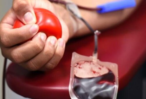 sangue_1