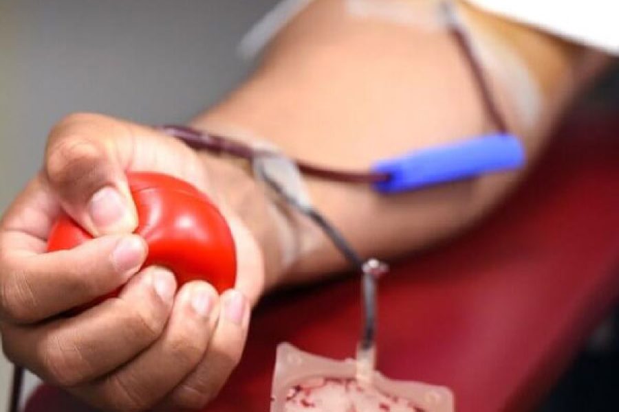 sangue_5