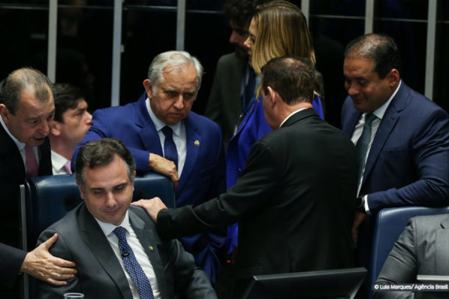senado