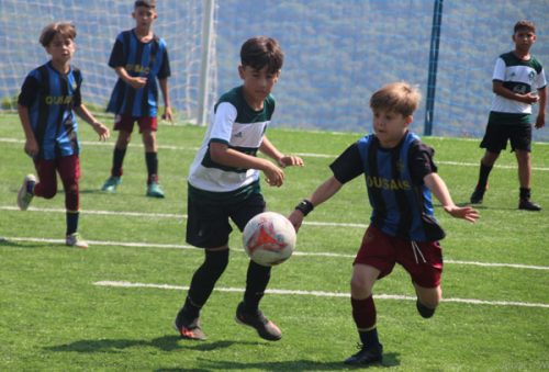 socie_3