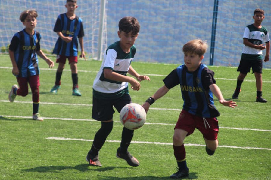 socie_3