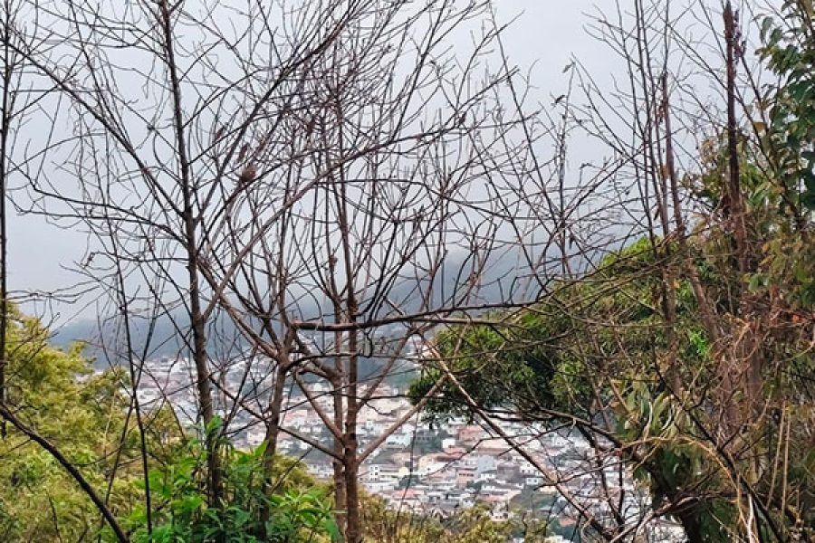 foto-tempo-em-pocos-de-caldas-08-02-2026