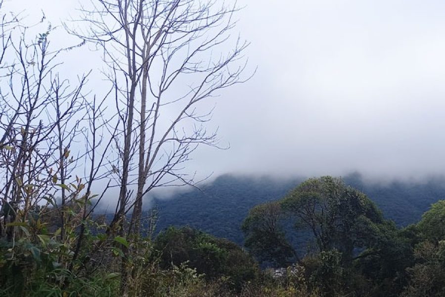 Foto: Ruy Alves/Mantiqueira