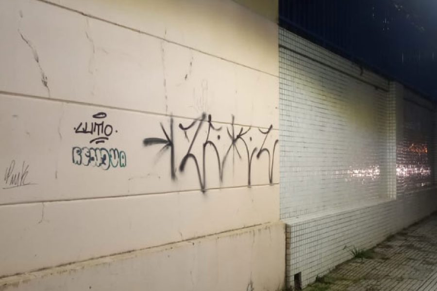 vanda_12