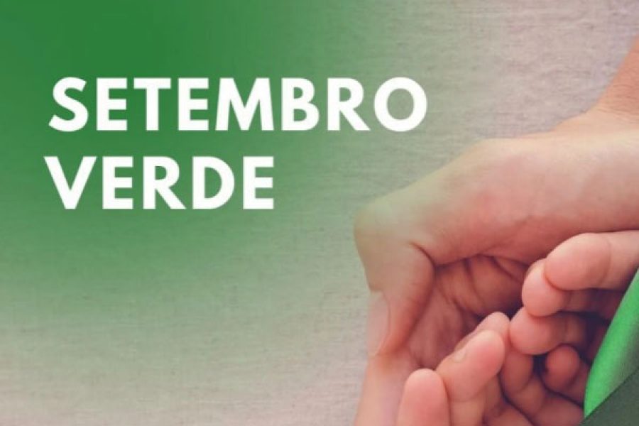 verde_editorial_13